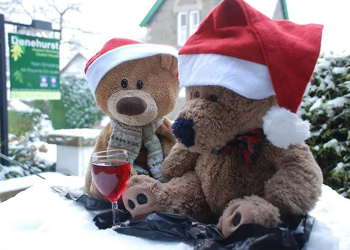 Denehurst - Adults Only 4* Windermere