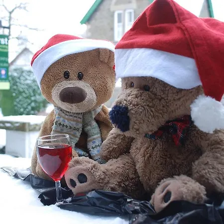 Denehurst - Adults Only 4* Windermere