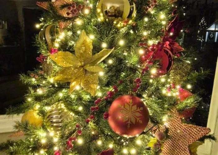 Denehurst - Adults Only 4* Windermere