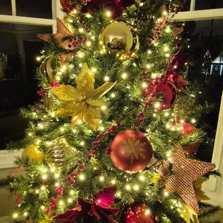 Denehurst - Adults Only 4* Windermere